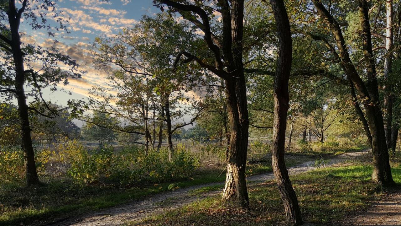 Fewo Grafschaft Nordhorn Buitenkant foto