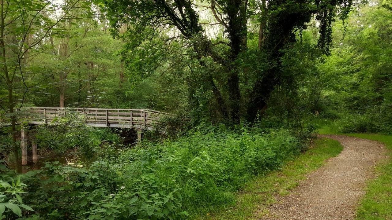 Fewo Grafschaft Nordhorn Buitenkant foto