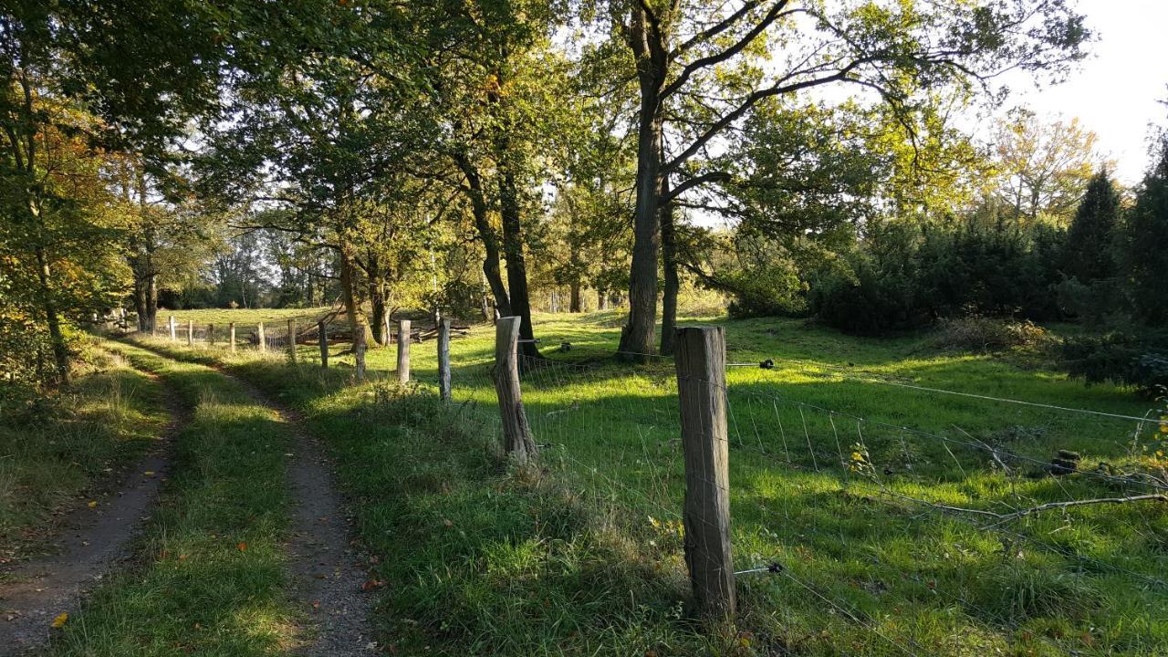 Fewo Grafschaft Nordhorn Buitenkant foto